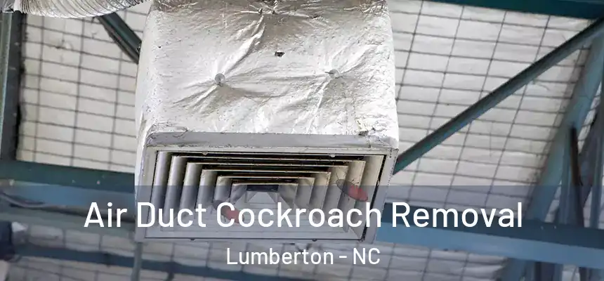  Air Duct Cockroach Removal Lumberton - NC