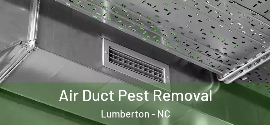  Air Duct Pest Removal Lumberton - NC