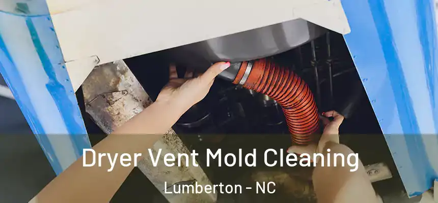  Dryer Vent Mold Cleaning Lumberton - NC