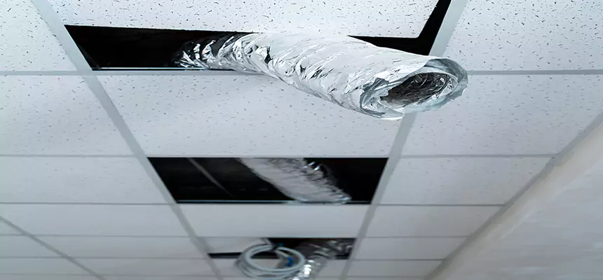 Affordable HVAC Sanitizing After Pest Removal in Lumberton