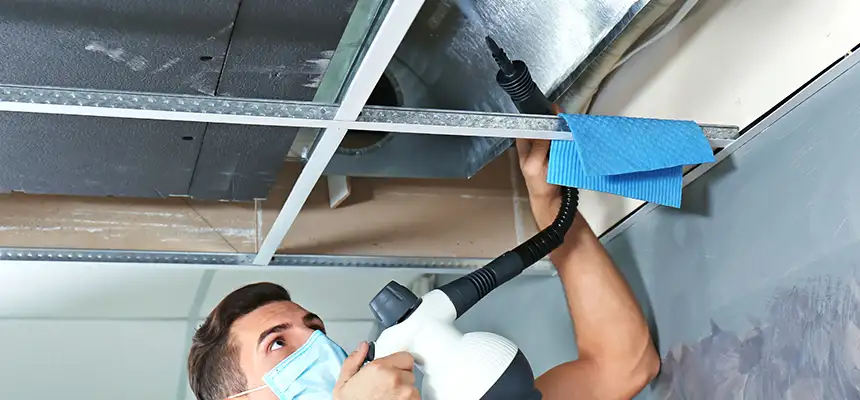 Our Air Duct Rodent Removal Services in Lumberton, NC