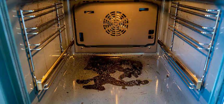 Our Dryer Vent Mold Cleaning Services in Lumberton, NC