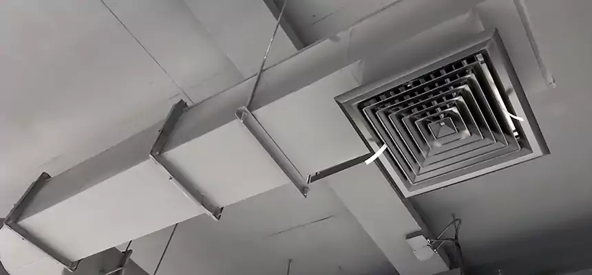 Our Pest Removal From Ducts Services in Lumberton, NC