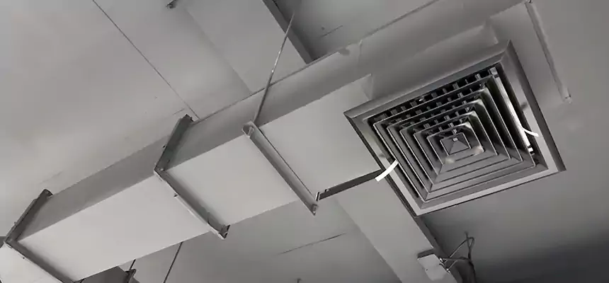 Our Rodent Droppings In Vents Services in Lumberton, NC