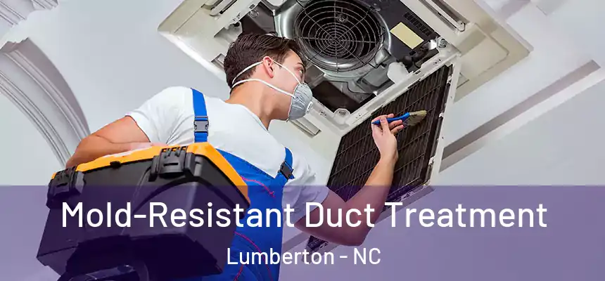  Mold-Resistant Duct Treatment Lumberton - NC
