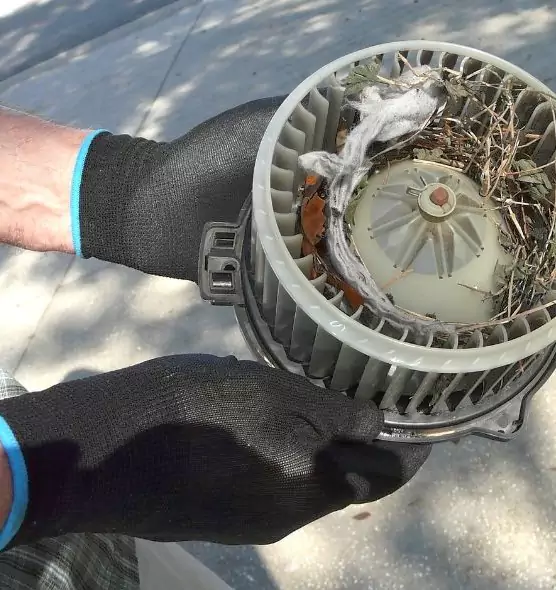 About Air Duct Mice Removal in Lumberton, NC