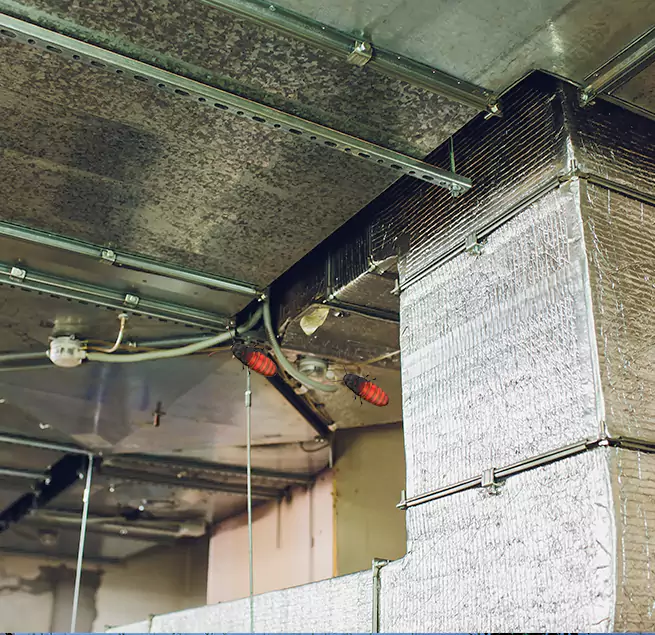 Why Homeowners & Businesses Trust Us in Lumberton, NC?