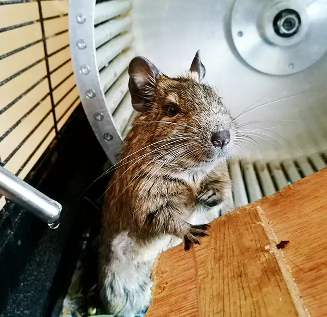 Why Homeowners & Businesses Trust Us Lumberton, NC